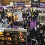 (C)_F_Mainard_vue_aerienne