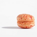 23 yannick lefort (4)