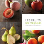 sicoly-22 (1) – les Fruits du Verger