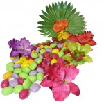 22 dragees massardier (4)