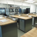 24 – cerf dellier (3)