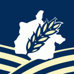 24 – moulin des etangs