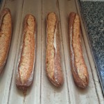 24 – pelle equipement (1)