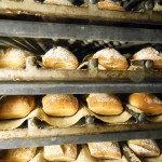 24 – pelle equipement (4)