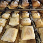 24 – pelle equipement (5)