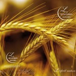 25 – moulin guiard (1)