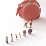 26 – frederic madelaine (10)