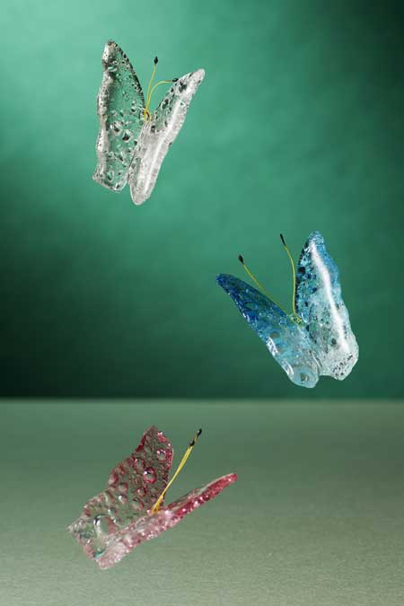 Andeal sucre bullé, Papillons en Vol