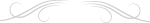 divider04