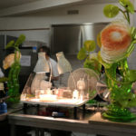 Ecole Bellouet, arts sucrés