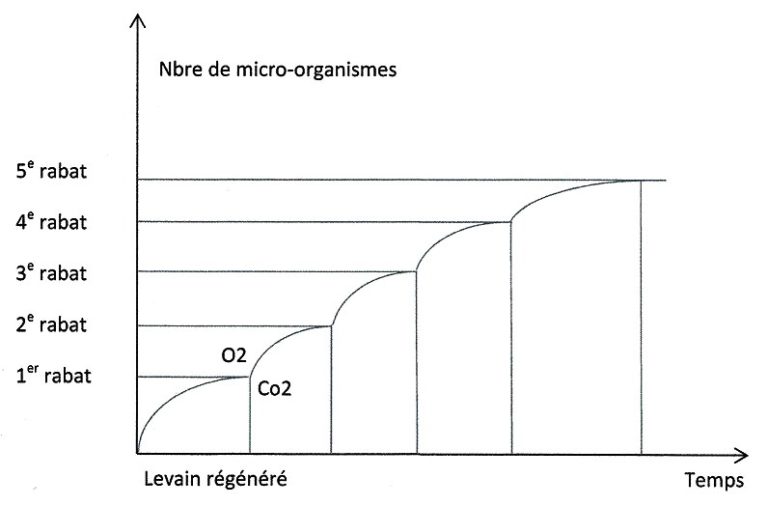 Procédé LEVAINTOLYSE ©® en fournils