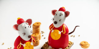 Les Petits Rats de Julien PERRINET
