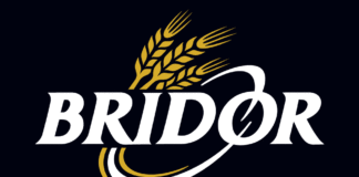 Logo Bridor