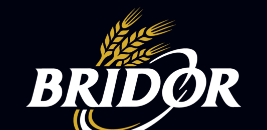 Logo Bridor