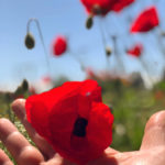 Se ressourcer dans la nature à quelques kilomètres de Beyrouth