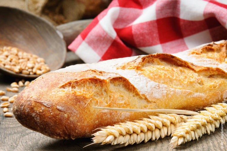SYFAB illustration baguette
