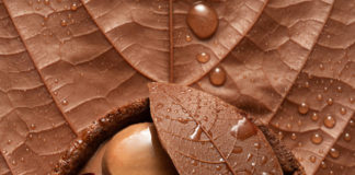 Amatika, recette Frédéric BAU