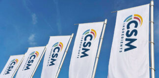 Drapeaux CSM