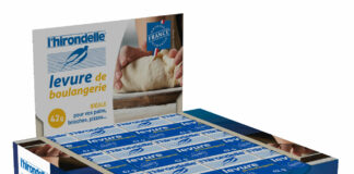 Levure L'Hirondelle 12 x 42g