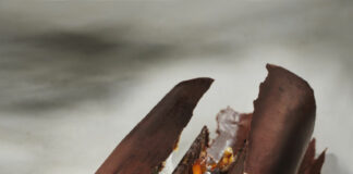 Bûche de Noël de l'École Valrhona