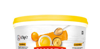 AMORA Mayonnaise à la moutarde de Dijon seau de 4,7kg