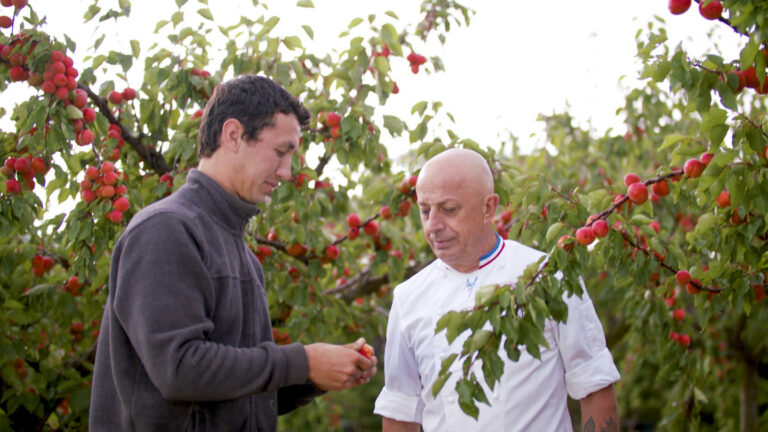 La gamme « Les Fruits de France » au service du local, du naturel et du goût !