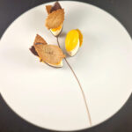 CFD 2023 – Finale Sud-Ouest (64)- Lauréat Professionnel – Dessert Adrien SALAVERT @Cultures Sucre