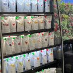 62 dossier fruits glaces (7)