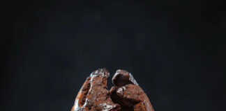 Valrhona Luko