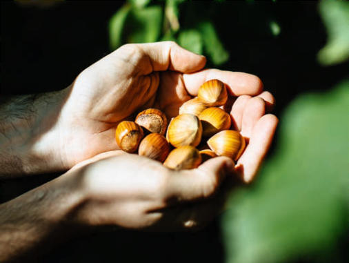 Weiss : un nouveau praliné noisettes françaises 65-35%