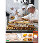Magazine Mockup-Cover
