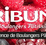 bannierenewsltdmfruitrouge