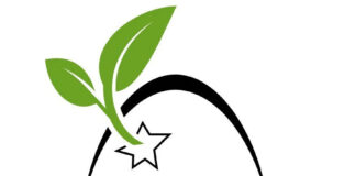 Logo Yumgo
