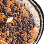 Creation-Simon-Bogliano