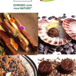 cacaobarry