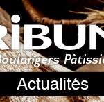 banniere news ltdm actu 28.08.2023