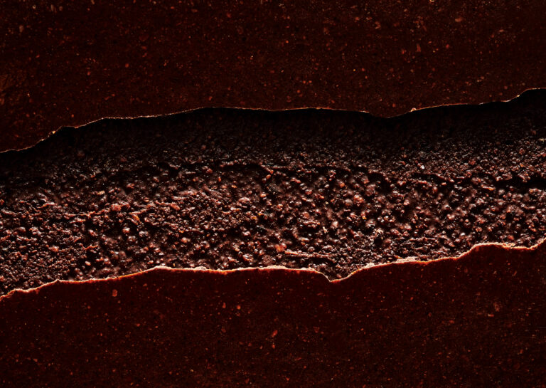 Valrhona crée la première couverture de fèves entières