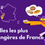 LTDM – WEBSITE – GABARIT VIGNETTE smappen