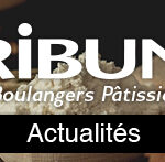 banniere news ltdm actu