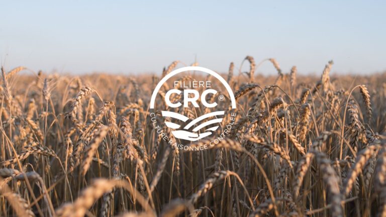 Moisson 2023 : une récolte record pour la Filière CRC®