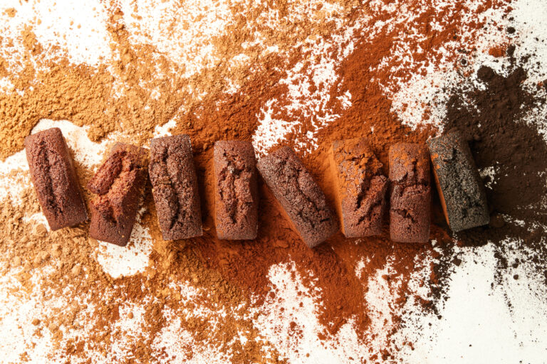 Deux nouvelles poudres de cacao signées Cacao Barry
