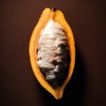 VALRHONA CUVEES_VISUEL CABOSSE OUVERTE