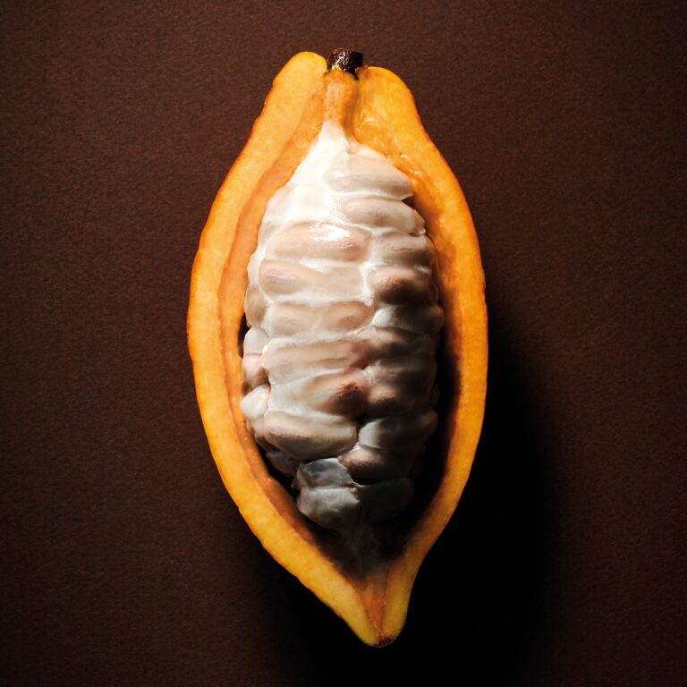 Les Cuvées du Sourceur Valrhona : 2 nouvelles origines à découvrir