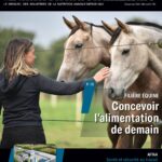 RAA_782_20241127-COUV-1