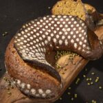 Ambassadeurs best of 2