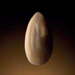 image – 2026-01-15T094631.828