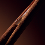 image – 2026-01-15T094639.028