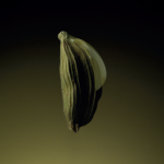 image – 2026-01-15T094648.882